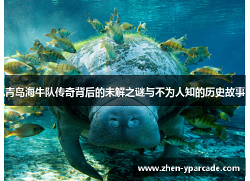 青岛海牛队传奇背后的未解之谜与不为人知的历史故事